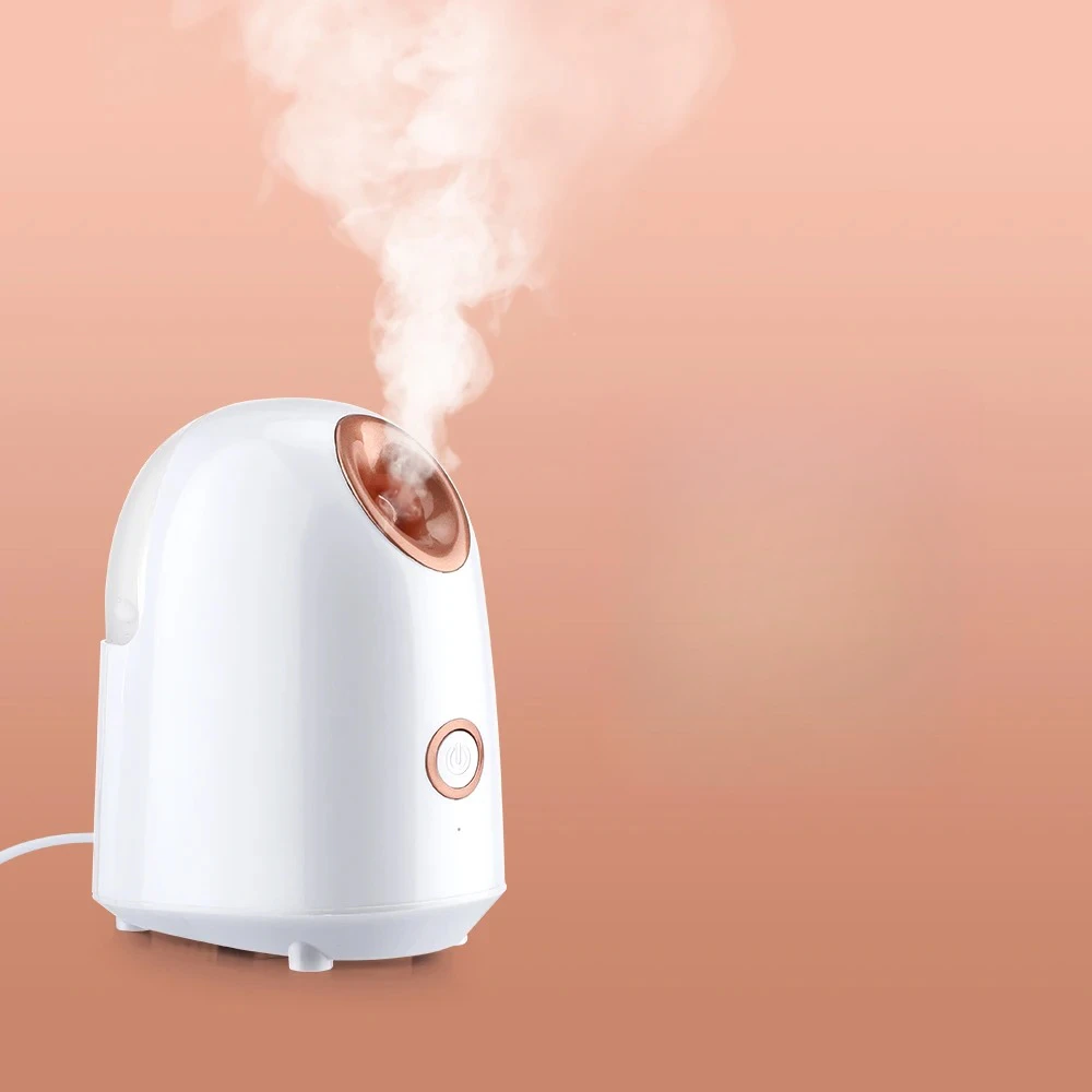 Nano Ionic Face Steamer