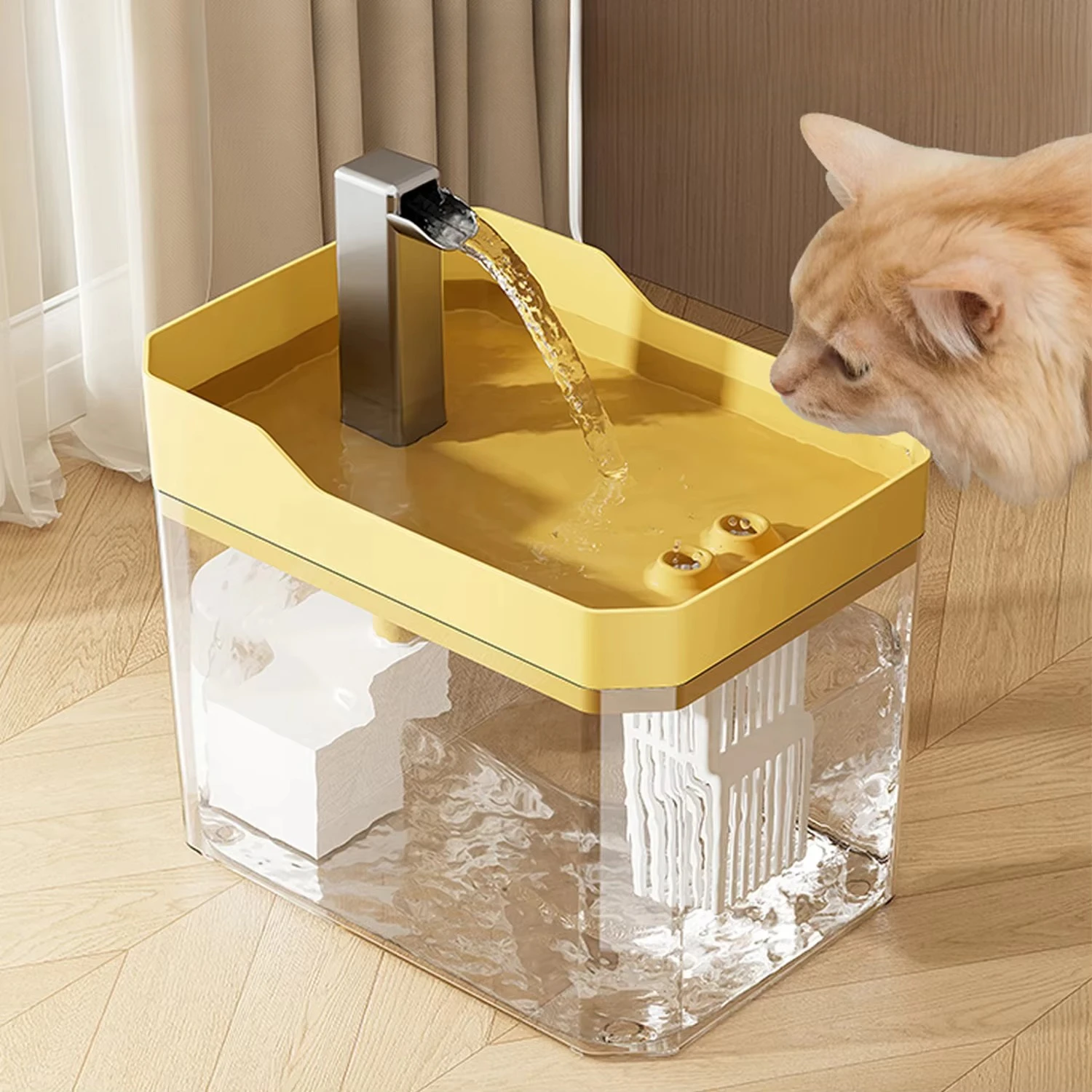 Transparent Cat Fountain