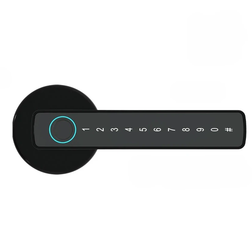 Smart Door Handle
